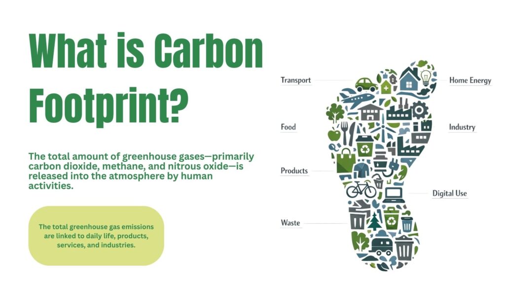 carbon footprint